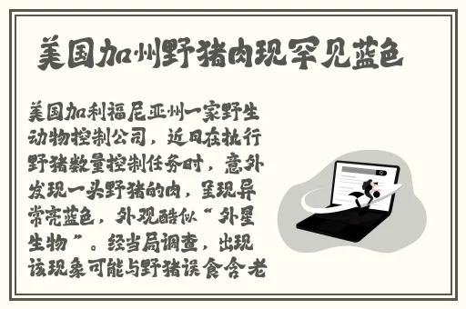 无码**精品一区二区三区9厂